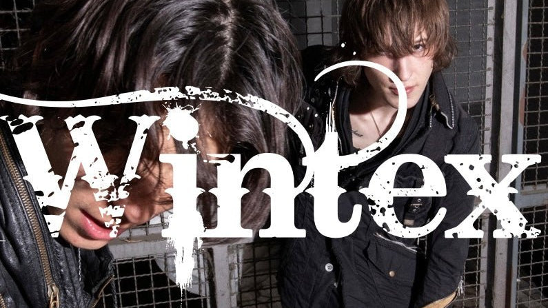 Information about famous japanese brands - wintexarchive