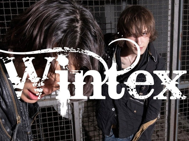 Information about famous japanese brands - wintexarchive