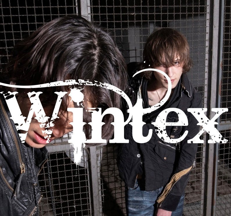 Information about famous japanese brands - wintexarchive