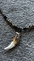 14th Addiction Coyote Fang - wintexarchive