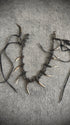 14th Addiction Jaguar Nails Wallet Chain - wintexarchive