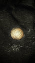 14th Addiction OG Coin Pierced Beanie - wintexarchive