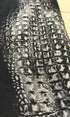 5351 Pour Les Hommes Crocodile Flared Pants - wintexarchive
