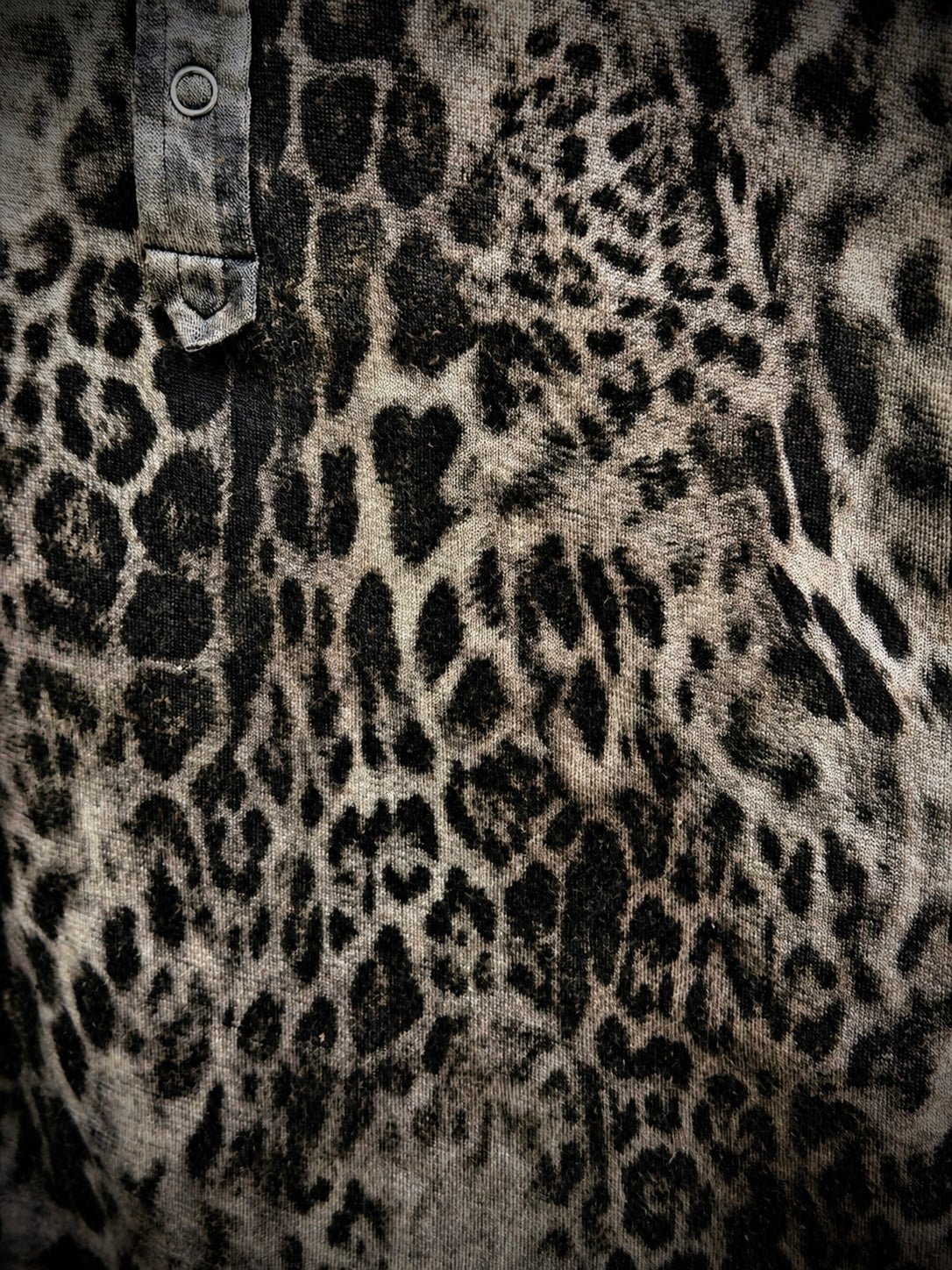 5351 Pour Les Hommes Leopard Button Up - wintexarchive