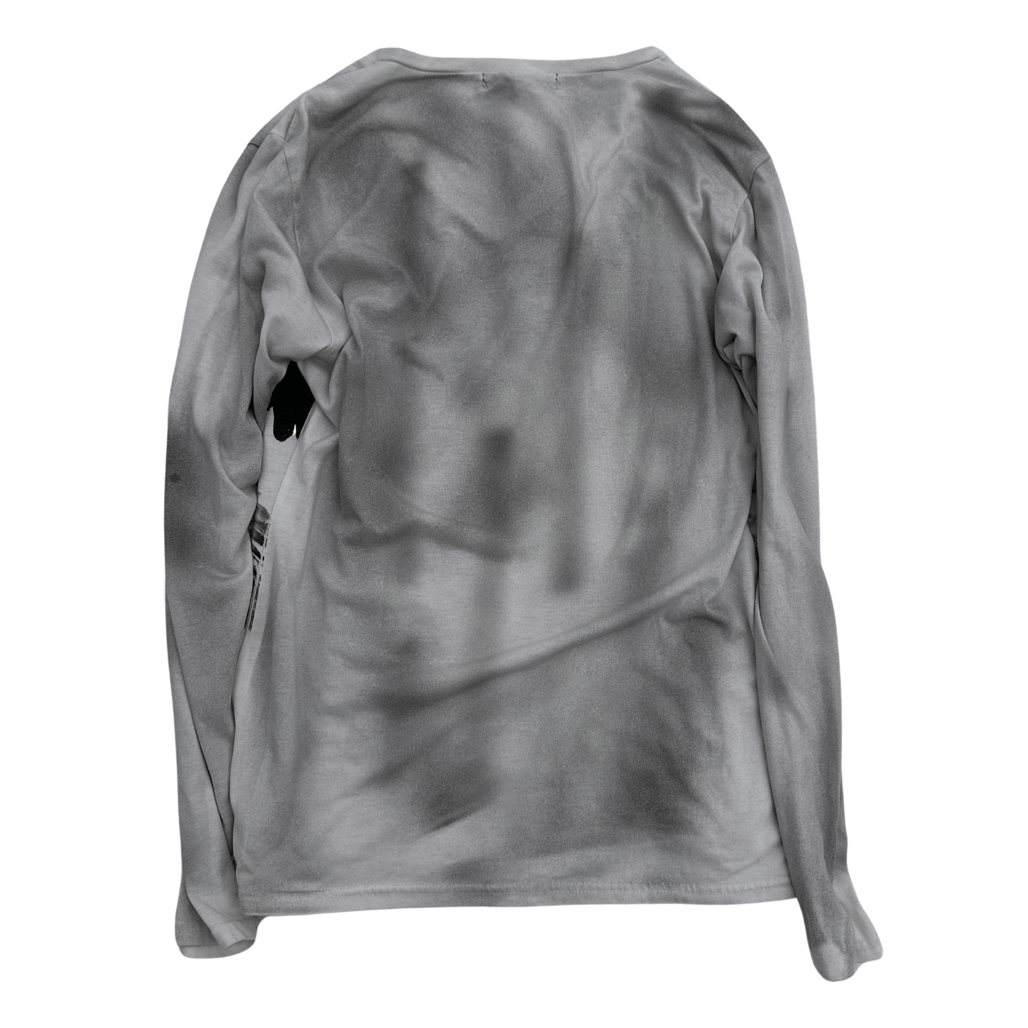 5351 Pour Les Hommes washed Eagle Longsleeve - wintexarchive