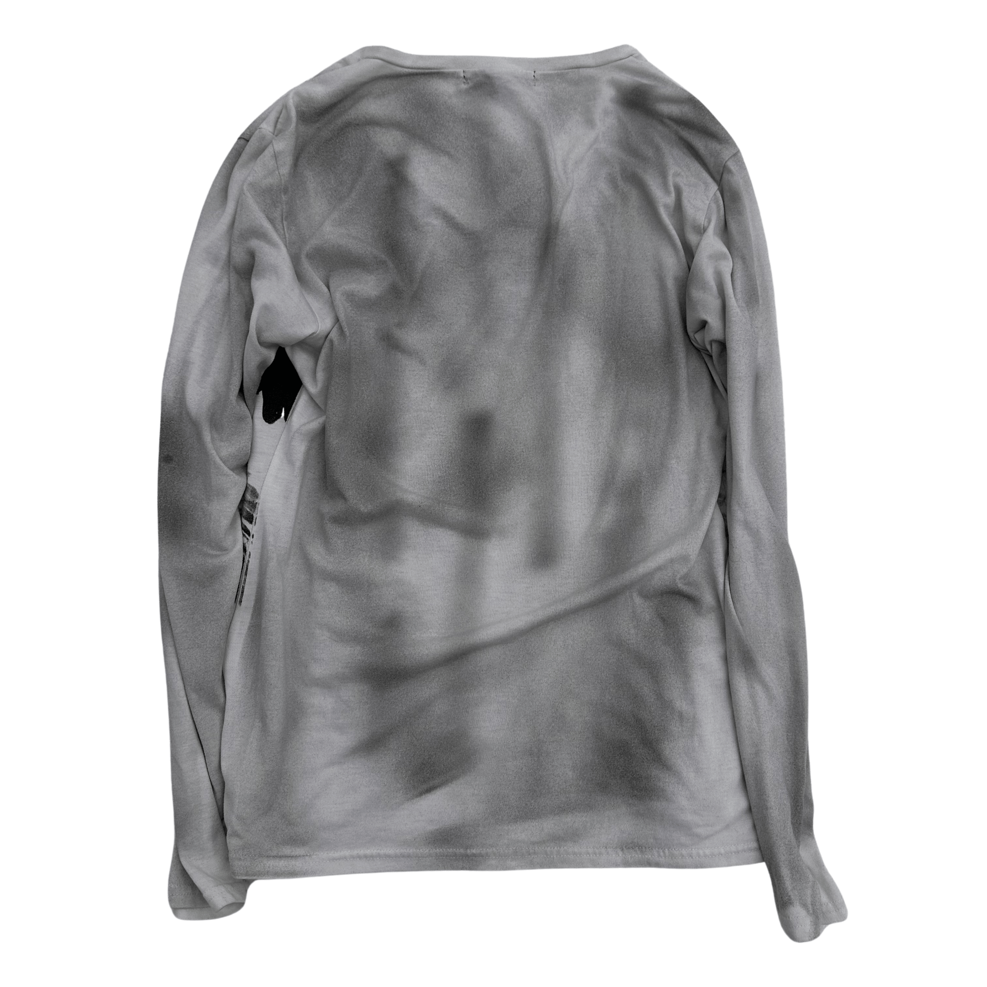5351 Pour Les Hommes washed Eagle Longsleeve - wintexarchive