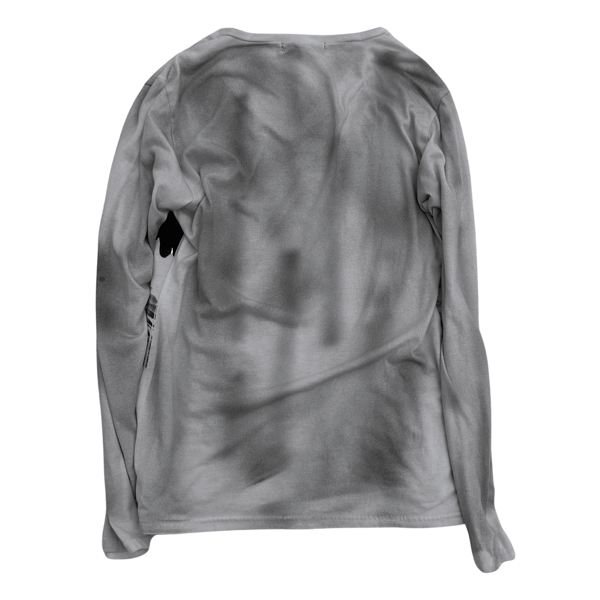5351 Pour Les Hommes washed Eagle Longsleeve - wintexarchive