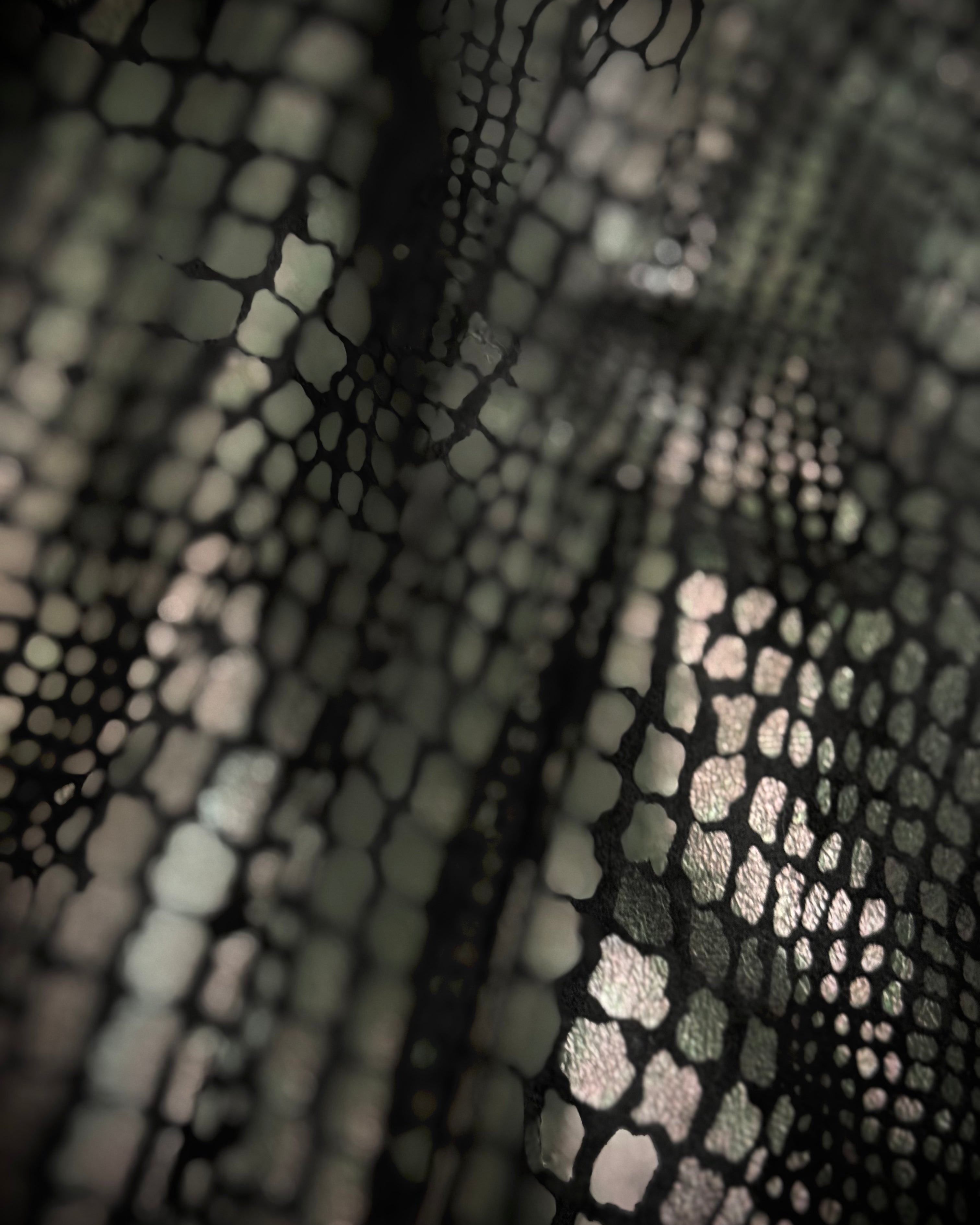 guitano crocodile coated jacket