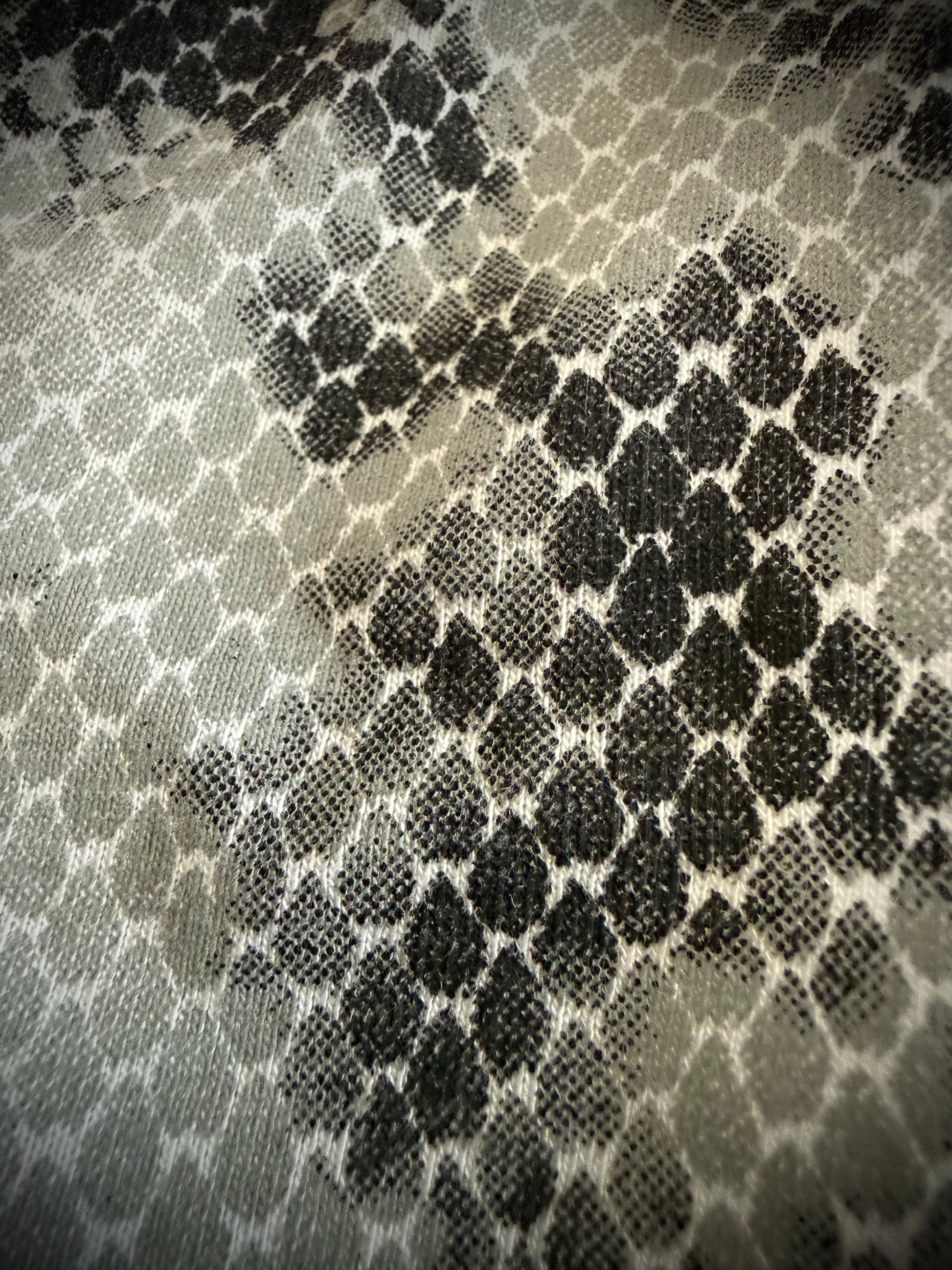 Tornado Mart Snakeskin Poem Shirt