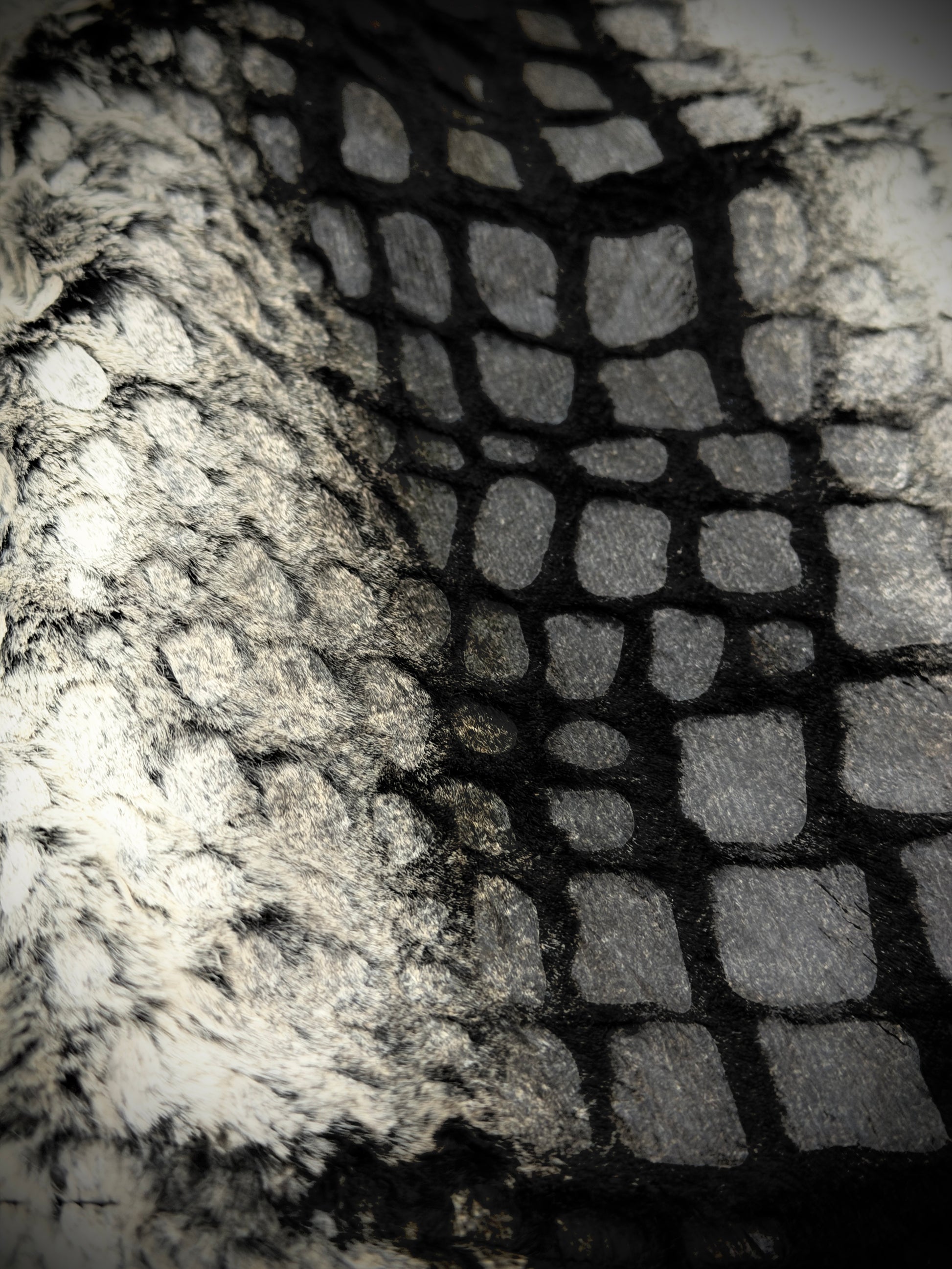 Tornado Mart Taped Croc Longsleeve