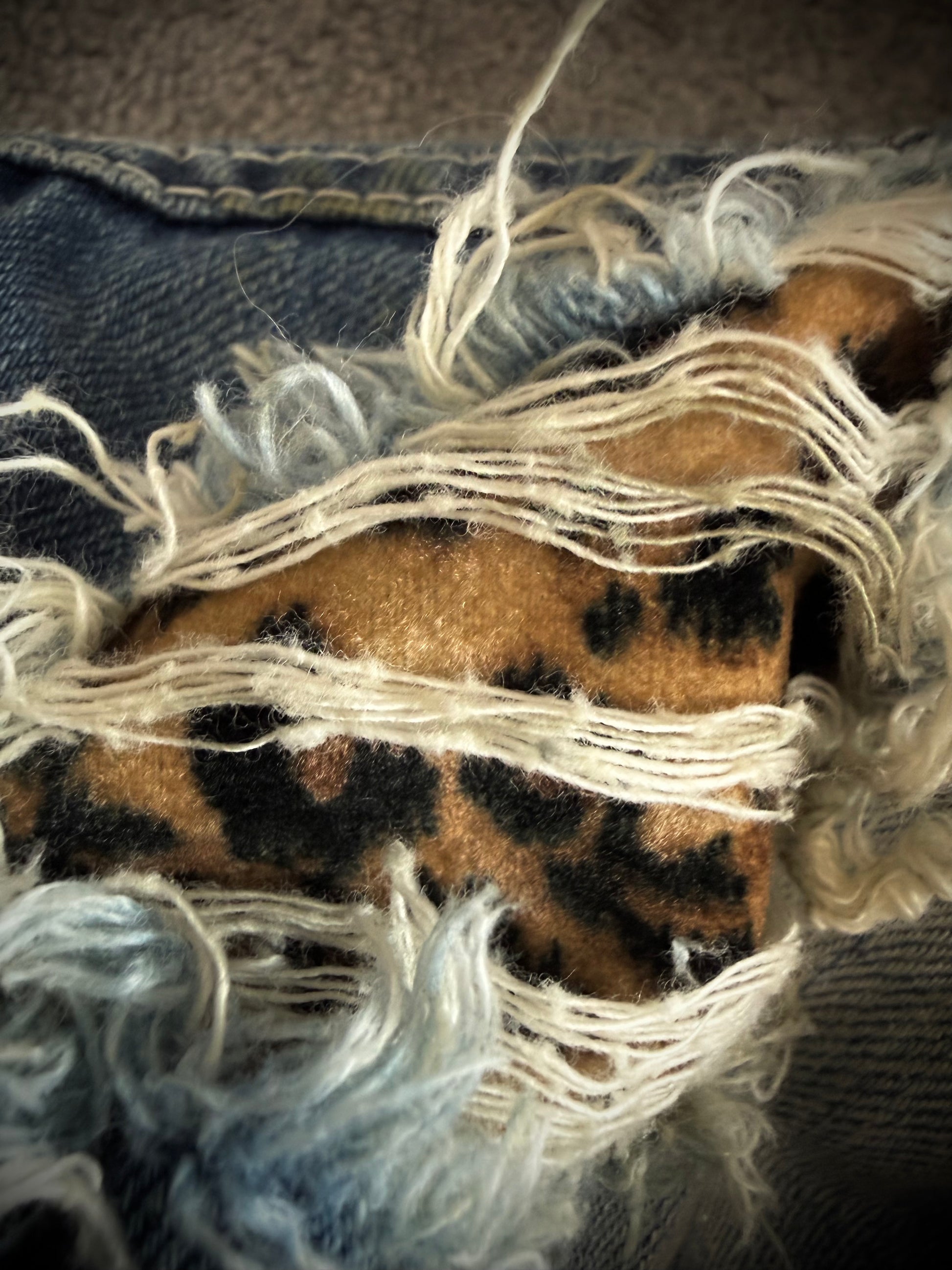 Cavaria Leopard distressed denim jacket