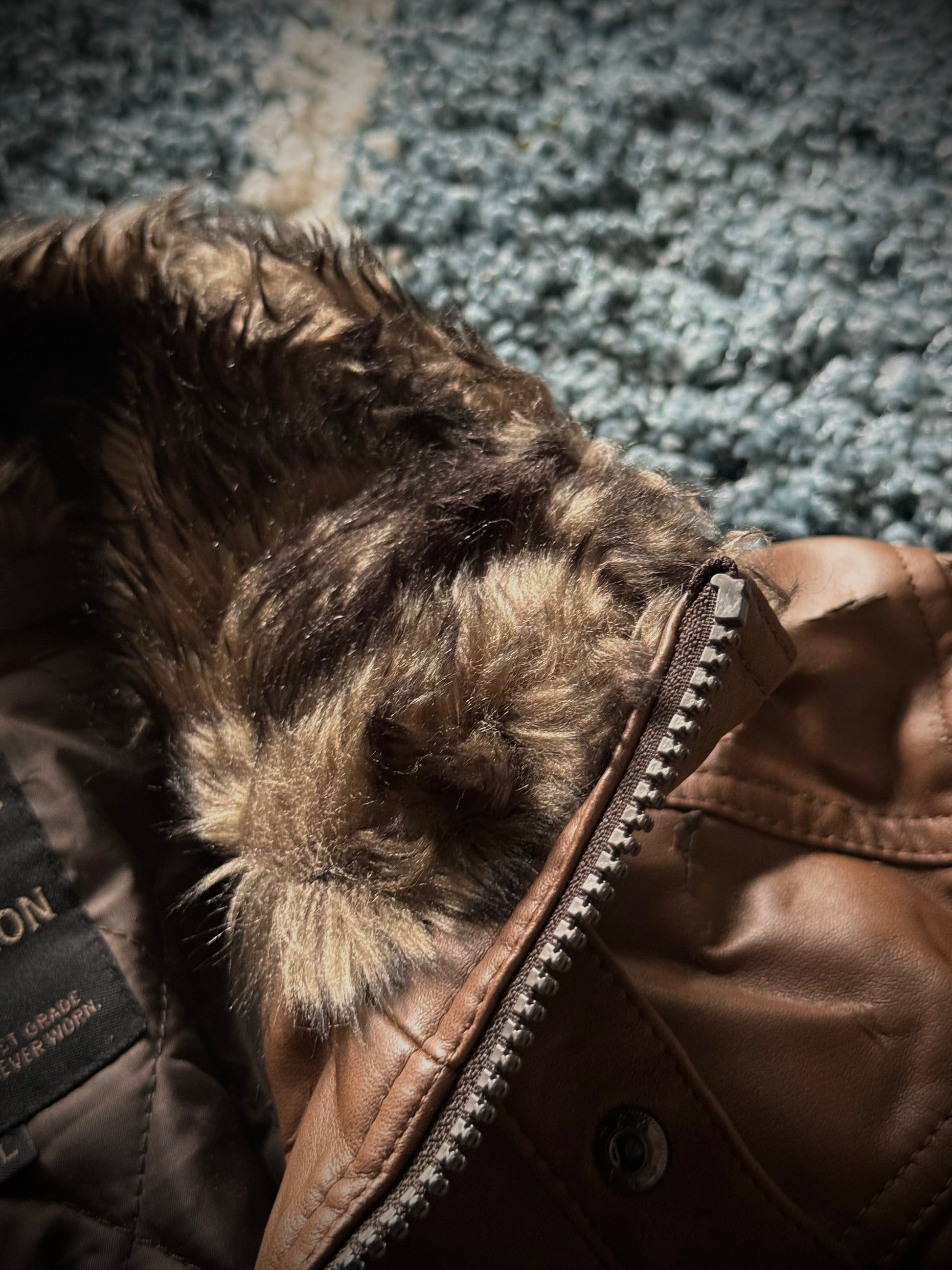 Splendid Faux Leather Fur Jacket