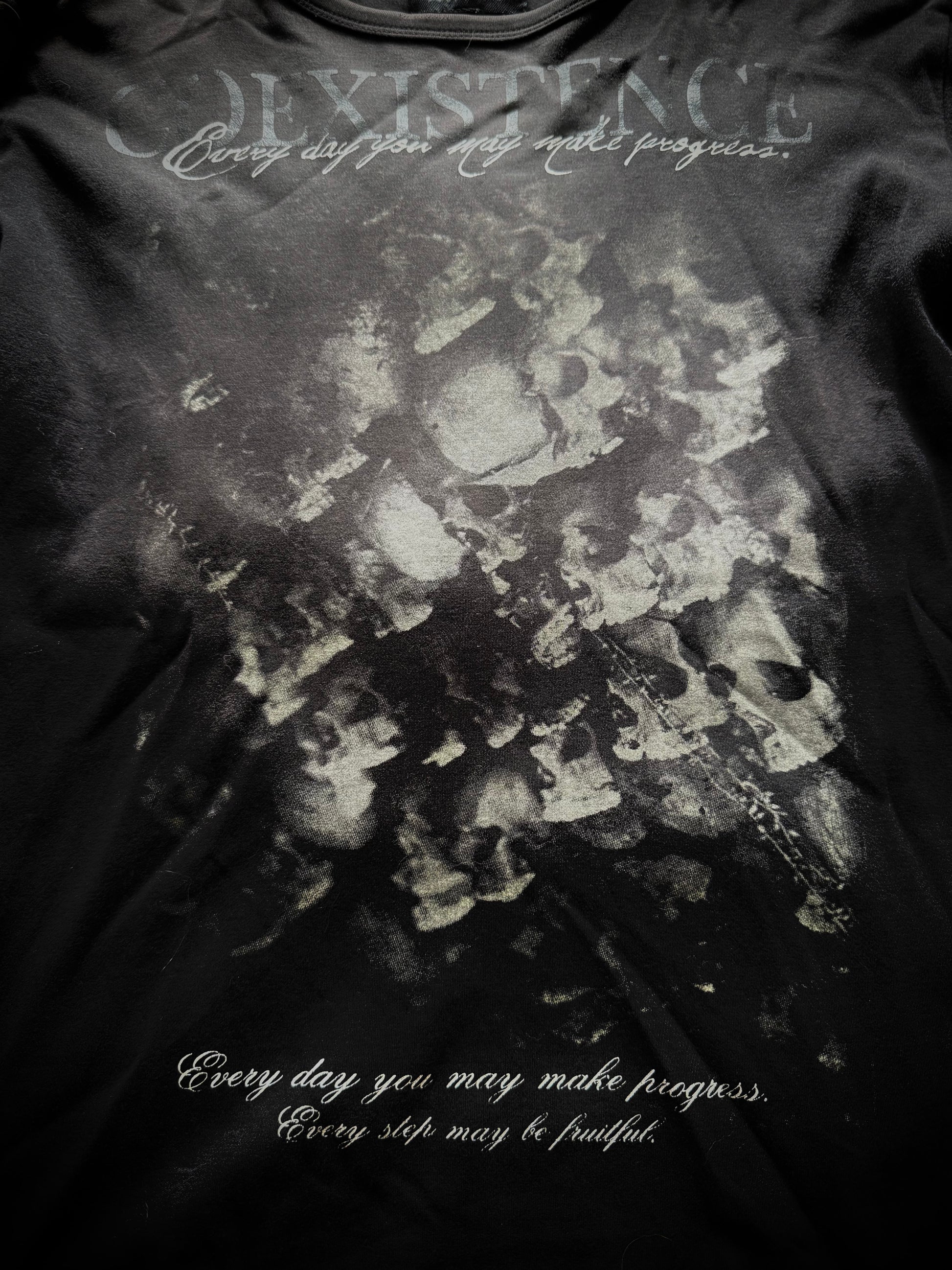 Coexistence poem longsleeve