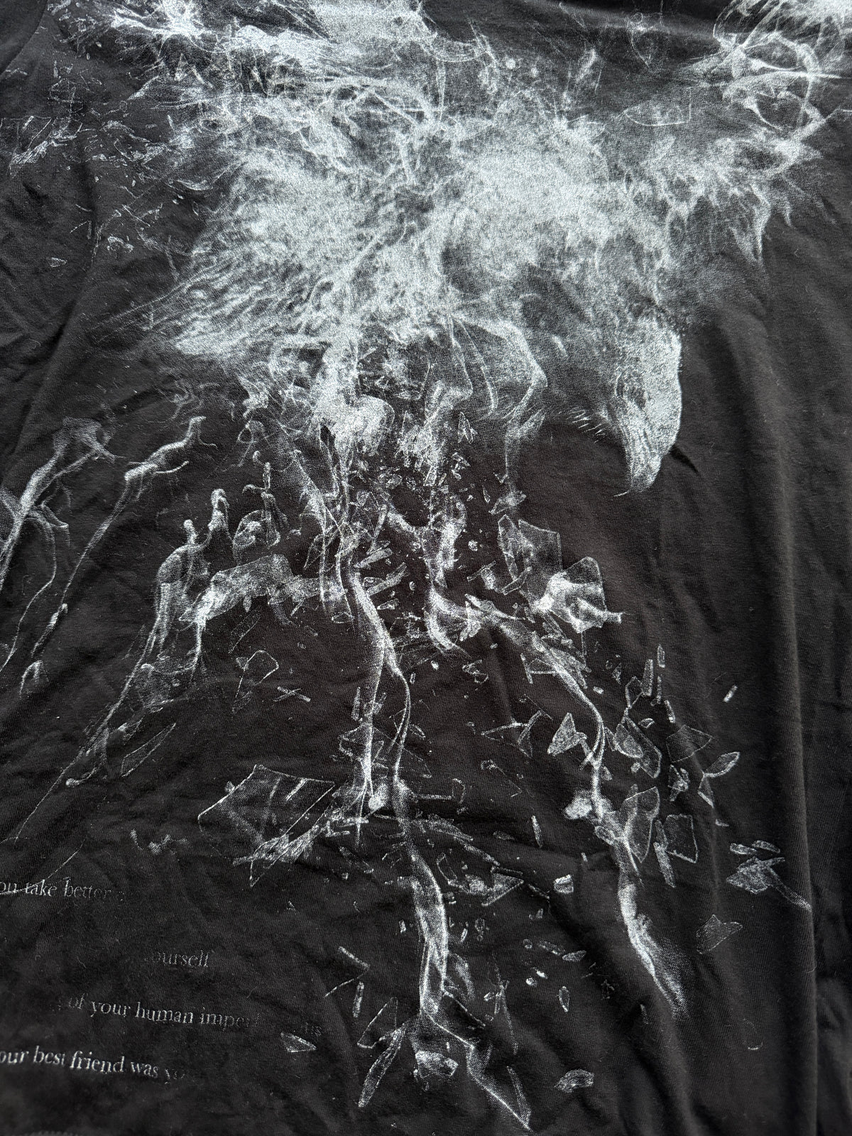 Schlussel Phoenix Poem Shirt