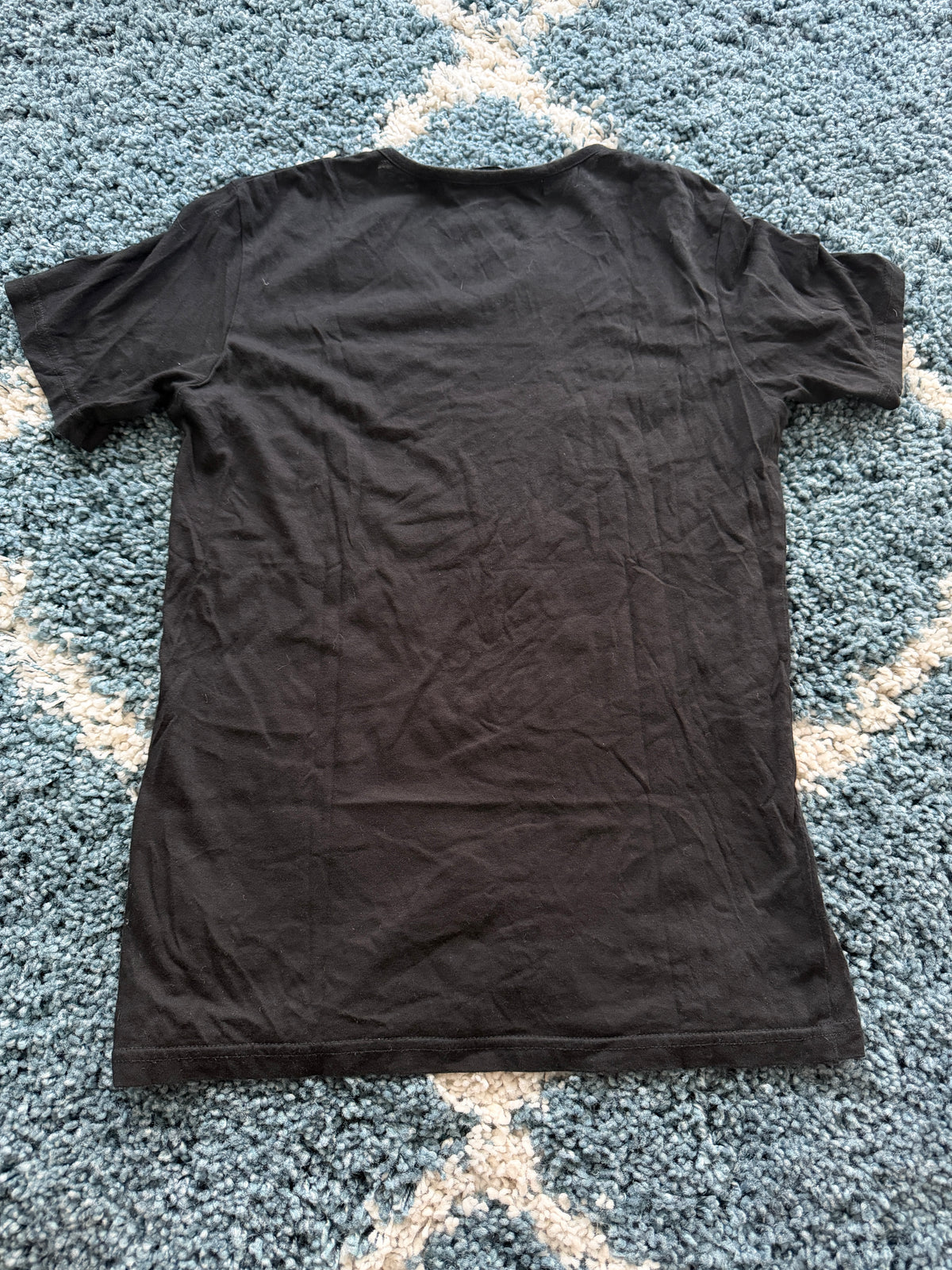 Schlussel Phoenix Poem Shirt