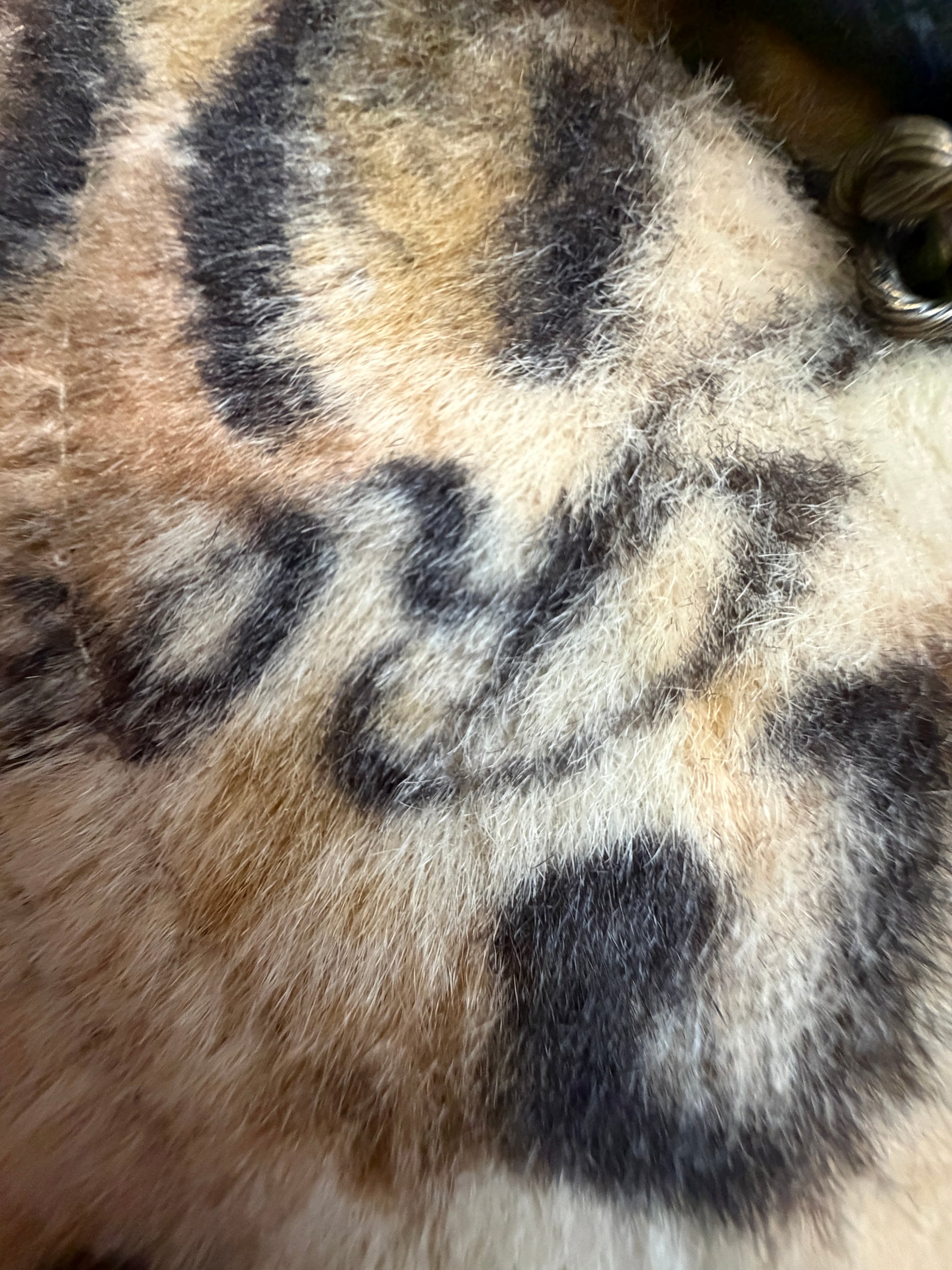 Roen Leopard Fur Studded Trucker Cap