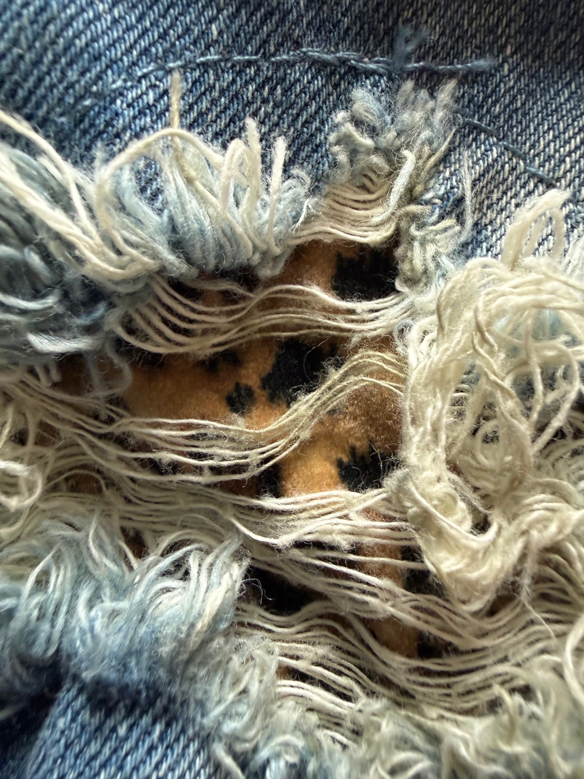 Cavaria Leopard distressed denim jacket