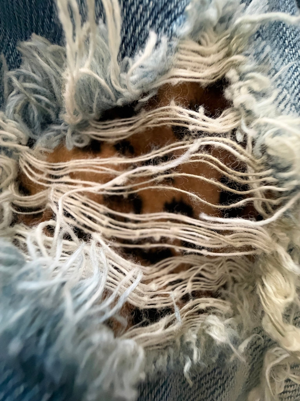 CavariA hidden Leopard Denim Jacket - wintexarchive