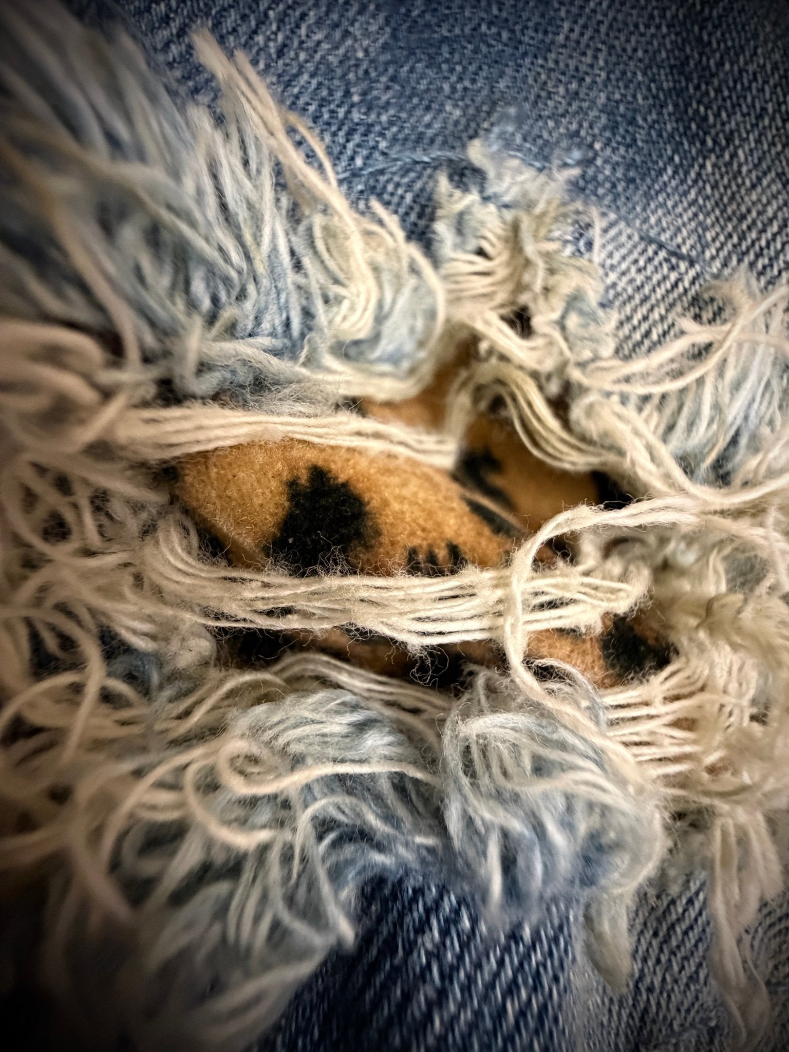 CavariA Leopard Denim Jacket - wintexarchive