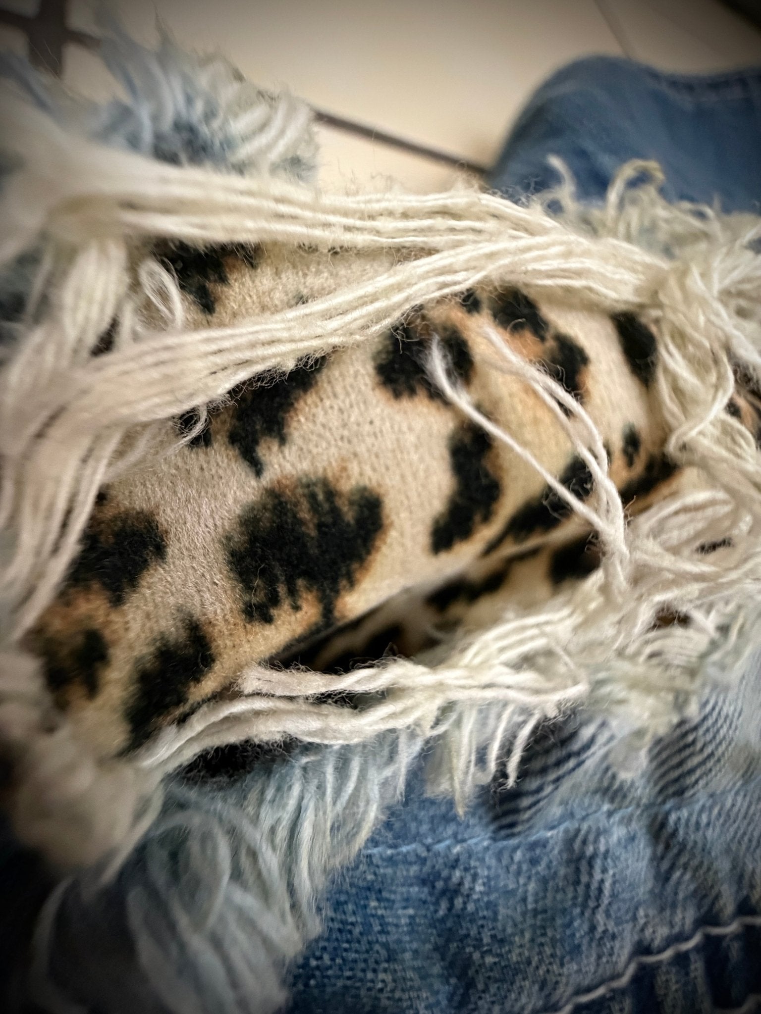 CavariA Leopard Denim Jacket - wintexarchive