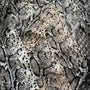 Exotical Animal Scarf - wintexarchive