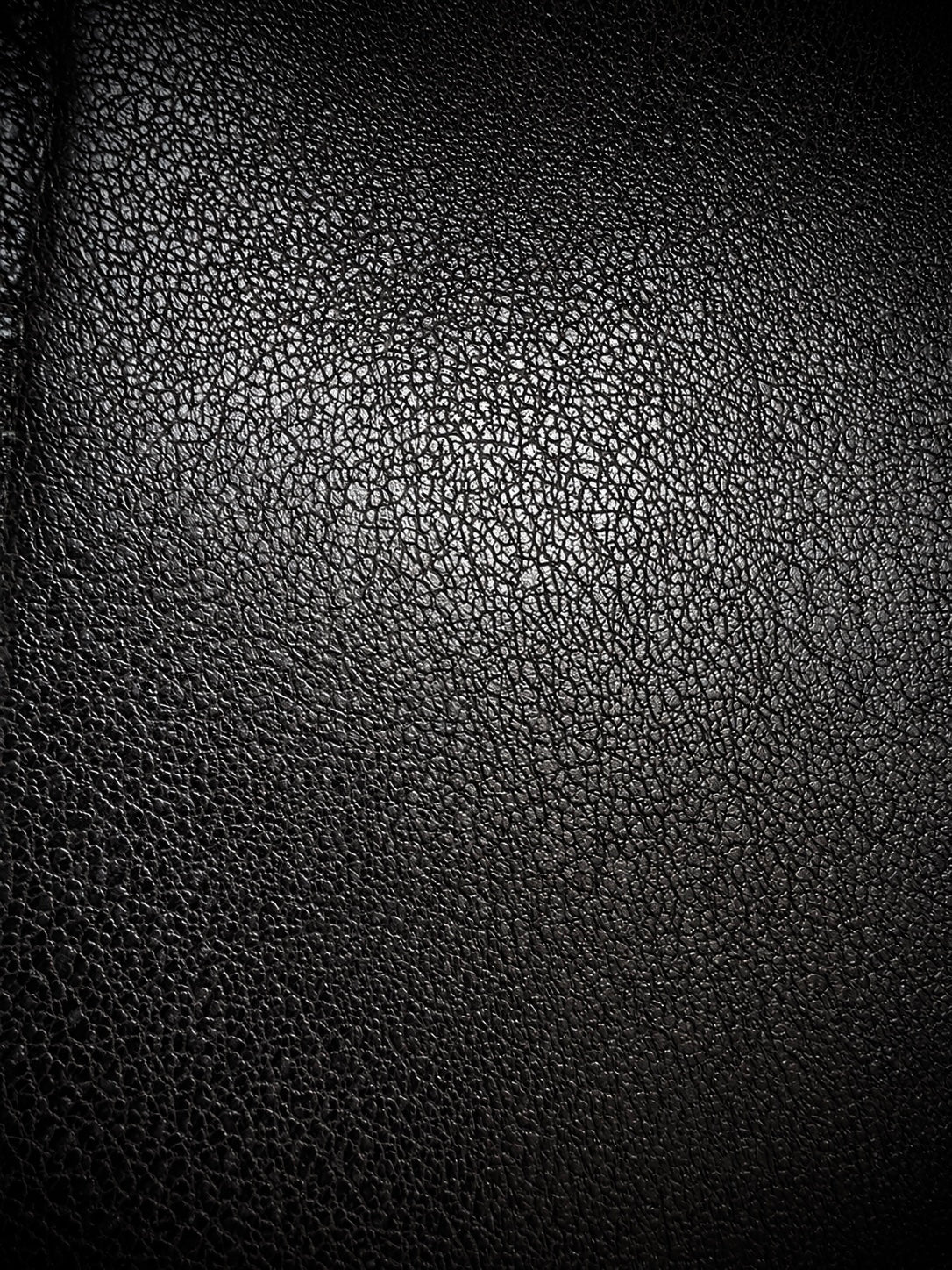Jack Rose Cracked Wax Fur Jacket - wintexarchive