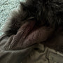 Murder License Raccoon Fur Coat - wintexarchive
