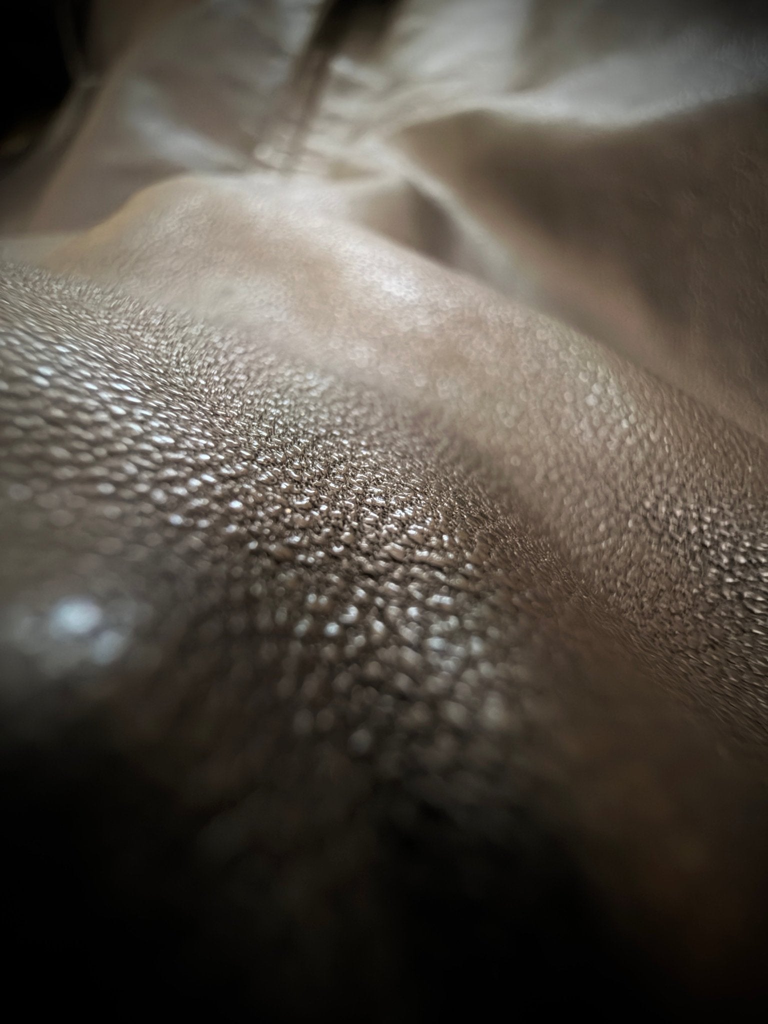 Otani Hikaku Fur Leather Jacket - wintexarchive