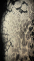 Tornado Mart early 2000‘s Infusion Leopard Polo Shirt - wintexarchive