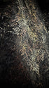 Tornado Mart Glitter Python Jacket - wintexarchive